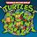 Teenage Mutant Ninja Turtles 80s