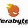 Testabyte Logo