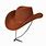 Texan Cowboy Hat
