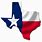 Texas Flag Logo
