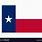 Texas Flag Vector