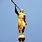 The Angel Moroni