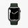The Apple Watch Series 7