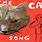 The Cat Song