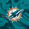 The Dolphins NFL