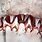 The Great White Shark Teeth