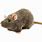 The Rat Plush