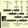 Thomas Family Tree Descendants