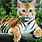 Tiger Baby Cat Kitten
