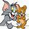 Tom N Jerry Cartoon