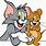 Tom and Jerry Mouse Cartoon