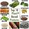 Top Plant-Based Proteins