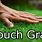 Touch Grass Image