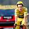 Tour De France Yellow