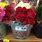 Trader Joe's Roses