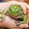 Tree Frog Hands