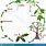 Tree Life Cycle Worksheet