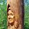 Tree That Been Carved Near Toddington
