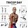 Tricep Workout Routine