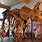 Triceratops Dinosaur Bones
