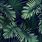 Tropical Green Plant Wallpaper
