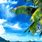 Tropical Paradise Wallpaper iPhone
