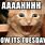 Tuesday Kitty Meme
