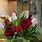 Tulips and Roses Arrangement