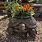 Turtle Planter