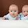 Twin Boy Babies