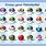 Types of Pokemon All Pokeball Names