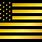 US Flag Gold