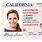 USA ID Card Sample