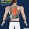 Upper Thoracic Back Pain