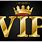 VIP Services Logo