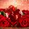 Valentine Roses Desktop Wallpaper