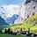 Valley Swiss Alps