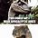 Velociraptor Meme