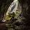 Vietnam Cave with Forest