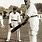 Vintage Cricket Players Photos