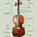 Violin Schematic