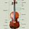 Violin Shape