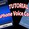 Voice Command iPhone