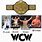 WCW International Championship