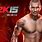 WWE 2K Background
