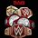 WWE Raw Championship