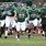 Wagner College Football