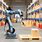 Warehouse Robots
