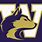 Washington Huskies College Football