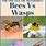 Wasp Nest vs Bee Nest